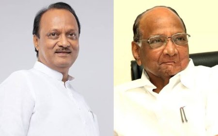 कुठे काका-पुतण्या, कुठे गुरु-शिष्य आमनेसामने,५२ पैकी ३५ जागांवर अजित दादांपुढे थेट शरद पवारांचं आव्हान 