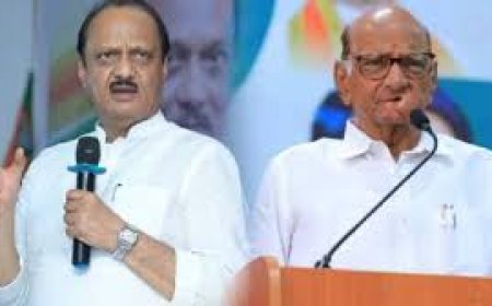 नात्यानंतर आता सणातही फूट ! पवार कुटुंबात कटुता वाढतेय का ?