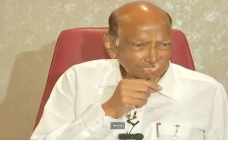 विधानसभा निकालावर शरद पवारांची पहिली प्रतिक्रिया काय?