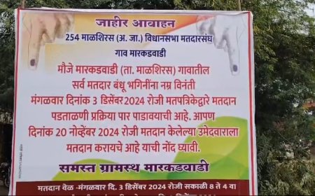 आज मारकडवाडीत बॅलेट पेपरवर मतदान ,प्रशासनाचा विरोध कायम ! नक्की काय होणार राज्यभरातून लागलं लक्ष