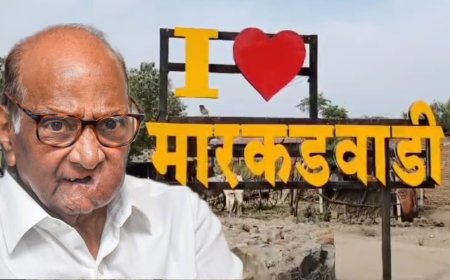 मोठी बातमी | रविवारी शरद पवार मारकडवाडीत ! ग्रामस्थांशी पवार करणार चर्चा