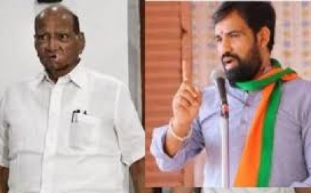 Ram Satpute On Sharad Pawar राम सातपुतेंच आव्हान शरद पवार स्विकारणार ? 