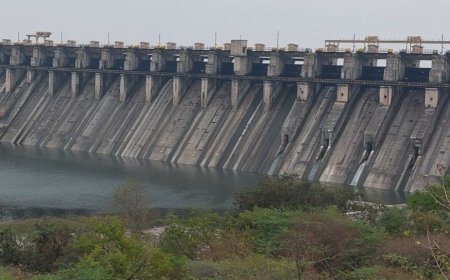 उजनीतून सोलापूरकरांना पिण्यासाठी आवर्तन सोडलं,दहा दिवसात ६ टीएमसी पाणी सोडणार