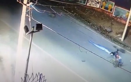 बिबट्या आणि दूध विक्रेत्याचा भीषण अपघात, घटना सीसीटीव्ही कॅमेऱ्यात झाली कैद