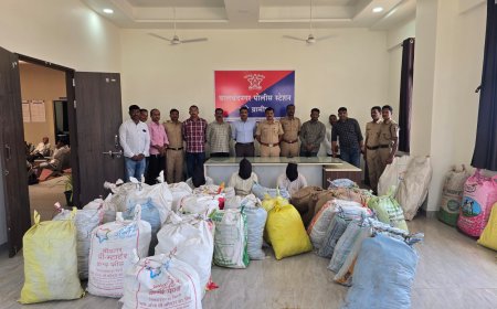 Breaking News : पळसदेव नंतर इंदापुरात पुन्हा पिकली खसखस ! पोलिसांना लागली खबर अन् ....