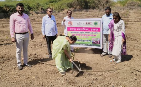 येणाऱ्या काळात इंदापूर शहर स्वच्छ सुंदर आणि ऑक्सिजनयुक्त होईल : माजी नगराध्यक्षा अंकिता शहा
