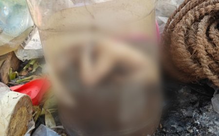 बिग ब्रेकिंग | दौंडमध्ये कचऱ्याच्या ढिगार्‍यात सापडले अर्भक ?