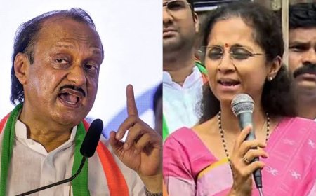 मोठी बातमी | मलिदा गँगने मला नकोसे केलय  - अजित पवार