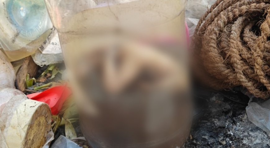 बिग ब्रेकिंग | दौंडमध्ये कचऱ्याच्या ढिगार्यात सापडले अर्भक ?