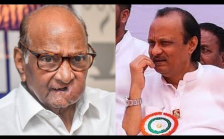 काकाच्या पुण्याईने माझं बरं चाललंय,अजित पवारांकडून काकांचं तोंड भरून कौतुक