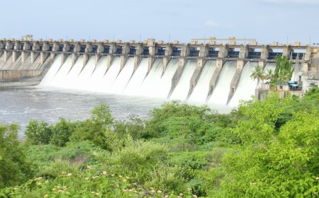 Ujani Dam : उजनी 72 टक्के भरले 16 दरवाजे उघडले ! उजनीच्या इतिहासातील अभूतपूर्व प्रसंग,जून महिन्यातच...
