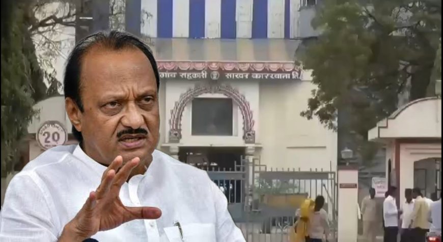 का व्हायचंय अजित पवारांना संचालक ? माळेगाव कारखान्याच्या निवडणुकीत अजित पवारांचा लागणार कस 