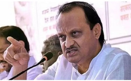 थेट 353 दाखल करा 'आपलं वाटोळं झालंय' अजितदादा संतापले ! वाचा नेमकं काय घडलं होतं