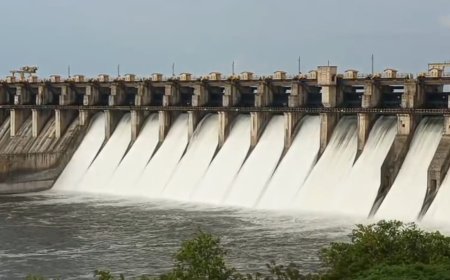 BIG BREAKING उजनीतून भीमा नदीत 51 हजार 600 क्युसेकने पाण्याचा विसर्ग...