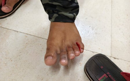 बिग ब्रेकिंग | इंदापुरात दहाहून अधिक नागरिकांना पिसाळलेल्या कुत्र्याने घेतला चावा