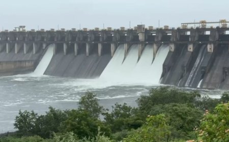 पुण्यात संततधार ! उजनीत येणारी आवक वाढली, भीमा नदी पात्रात 6600 क्युसेकने विसर्ग सुरू....