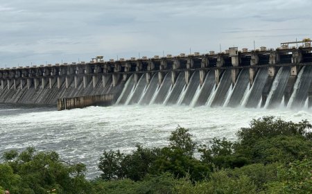 पंढरपूरला पूरस्थिती ! मंदिरांना पाण्याचा वेढा, उजनीतून भीमेत 91 हजार 600 क्युसेकने विसर्ग तर नीराही दुथडी भरून वाहू लागली