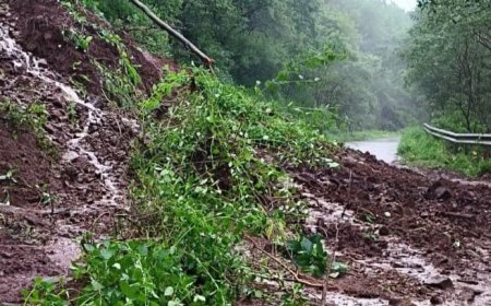 पुरंदर किल्ल्यावर जाणाऱ्या मार्गावर कोसळली दरड