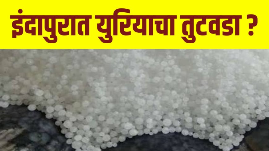 इंदापुरात युरियाचा तुटवडा ? युरिया मिळत नसल्याच्या शेतकऱ्यांच्या तक्रारी !