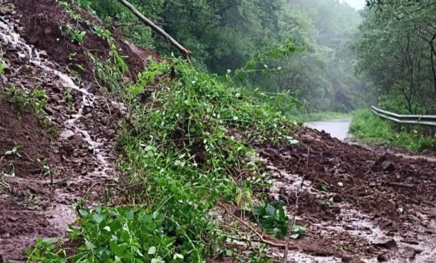 पुरंदर किल्ल्यावर जाणाऱ्या मार्गावर कोसळली दरड