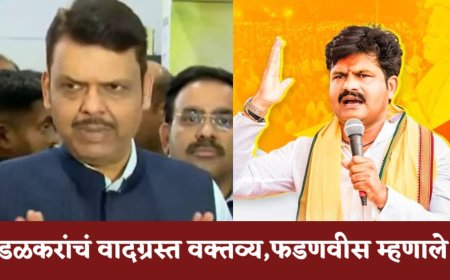 गोपीचंद पडळकरांच्या वादग्रस्त वक्तव्यावर मुख्यमंत्री फडणवीसांची पहिली प्रतिक्रिया ; म्हणाले...