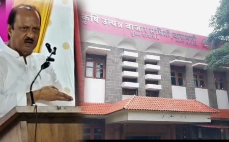 दीड कोटींची पेट्रोल उधारी पाहून अजित पवार संतापले...पदाधिकाऱ्याला जाहीर सभेत सुनावलं मात्र एवढं बिल नेमकं झालं तरी कसं ?