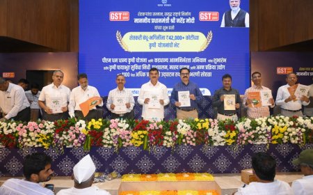 केंद्र व राज्य शासनाच्या माध्यमातून शेतकऱ्यांना स्वत:च्या पायावर उभे करण्याचा प्रयत्न : कृषीमंत्री भरणे