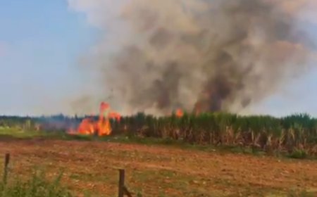 मोठी बातमी | इंदापुरात वरकुटे बुद्रुक लोणी देवकर च्या शिवेवर 35 एकर ऊस जळाला...