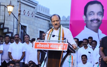 शेतकऱ्यांनी कष्टाने पिकवलेला ऊस गाळण्याचा तुमच्यात दम नाही ; काय तुमची अवस्था ! दादांचा नाव न घेता राहुल कुलांवर हल्लाबोल