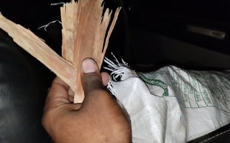 इंदापुरात स्कार्पिओ आणि दुचाकीचा अपघात ; स्कार्पिओ मध्ये चंदनाची लाकडं ? पोलिसांकडून तपास सुरू 