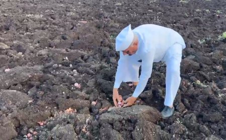 सांगा शेतकऱ्याने जगावं की मरावं ? साडेसात क्विंटल अन्  664 रुपये ! वाचा काय आहे इन साईड स्टोरी