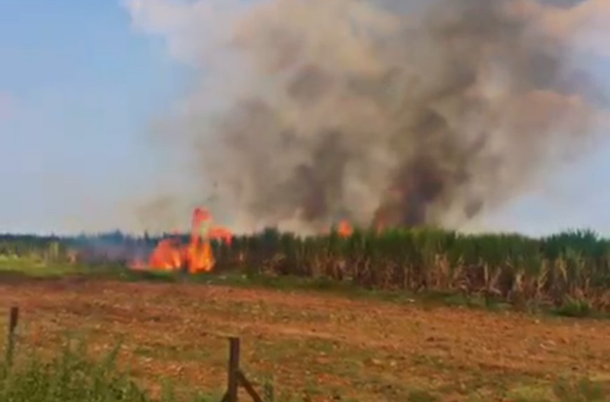मोठी बातमी | इंदापुरात वरकुटे बुद्रुक लोणी देवकर च्या शिवेवर 35 एकर ऊस जळाला...
