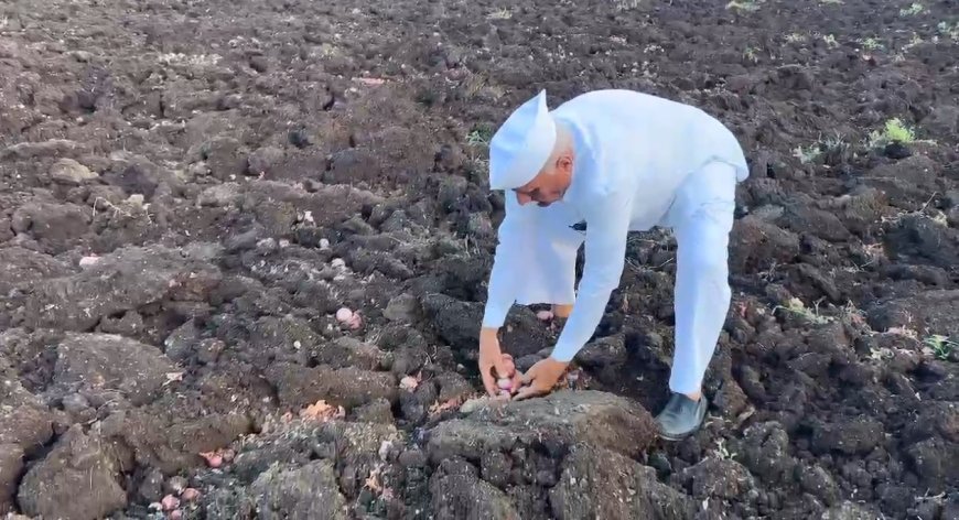 सांगा शेतकऱ्याने जगावं की मरावं ? साडेसात क्विंटल अन्  664 रुपये ! वाचा काय आहे इन साईड स्टोरी