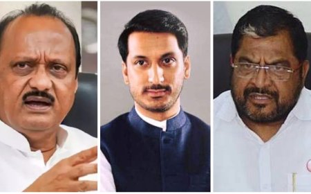 70 हजार कोटीवर समाधान नाही का अजून किती पाहिजे ? पार्थ प्रकरणावर राजू शेट्टींचा दादांना सवाल