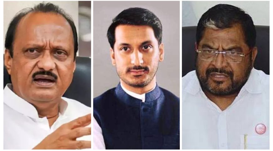 70 हजार कोटीवर समाधान नाही का अजून किती पाहिजे ? पार्थ प्रकरणावर राजू शेट्टींचा दादांना सवाल