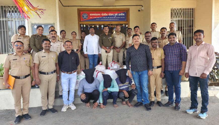 'गाडी एकदम हाय प्रोफाइल होंडा सिटी' डिक्कीत काय तर 25 लाखाचा गांजा ! वालचंदनगर पोलिसांनी केला गेम...