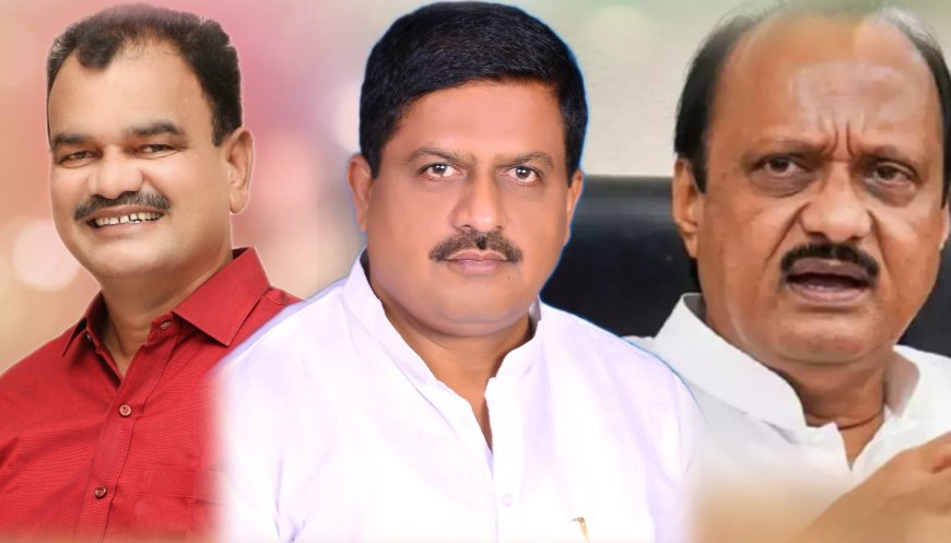 तर आम्हीही पक्षाला कोलू  ! जिल्हाध्यक्ष गारटकरांचा दादांसह मामांना इशारा