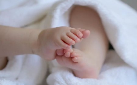 बिग ब्रेकिंग | कचऱ्यात आढळले मृत नवजात अर्भक; परिसरात संताप