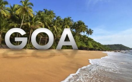 Big Breaking गोव्याच्या नाईट क्लब मध्ये अग्नितांडव ! आगीत आतापर्यंत 25 जणांचा मृत्यू 