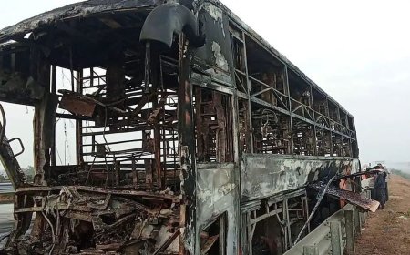 भीषण अपघातत ट्रॅव्हल्स जळून खाक ; चालकाचा होरपळून मृत्यू झाला...