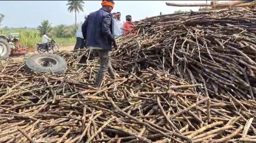 Baramati टनभर ऊस अंगावर पडूनही दोघे सुखरूप वाचले ; देव तारी त्याला कोण मारी