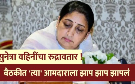 सुनेत्रा वहिनींचा रुद्रावतार !  एनसीपीच्या बैठकीत 'त्या' आमदाराला झाप झाप झापलं