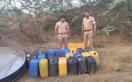 नींबूत येथील ओढ्यालगत गावठी हातभट्टी दारूचा अड्डा उध्वस्त