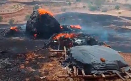 ब्राम्हणघरमध्ये भीषण वणवा ; शेतकऱ्यांचा जनावरांचा चारा जळून खाक, मोठे नुकसान