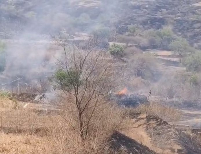 बिग ब्रेकींग | पिंगोरीत भीषण वनवा ; दीड हजार एकर वनसंपदा राख