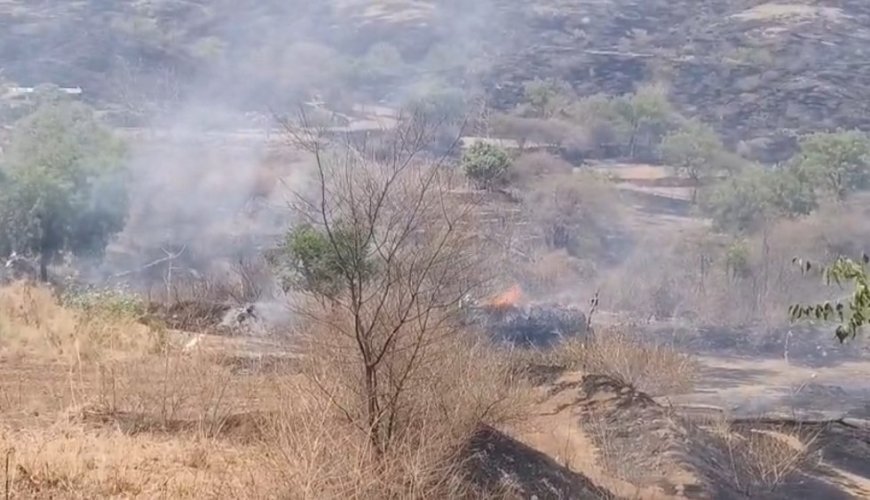 बिग ब्रेकींग | पिंगोरीत भीषण वनवा ; दीड हजार एकर वनसंपदा राख