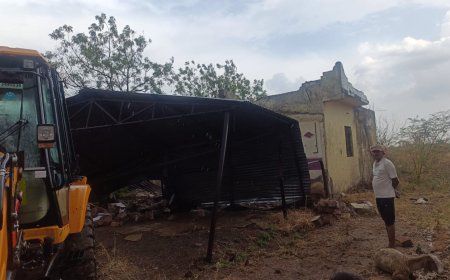 बारामतीत पूर्व मोसमी पावसाचा पहिला बळी 11 शेळ्याही दगावल्या ; वाचा माळवाडीत काय घडलं